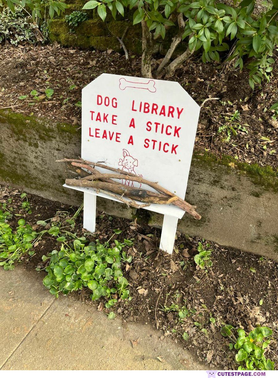 The Doggo Library